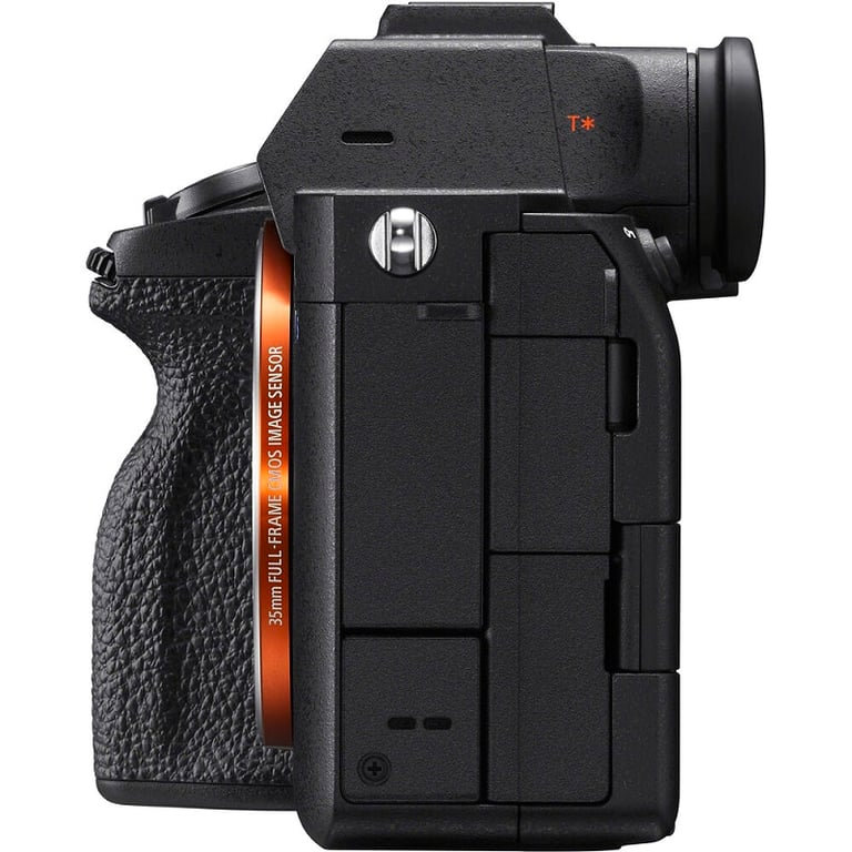 Sony Alpha A7S Mark III Body + DJI RS 4 - ảnh 4