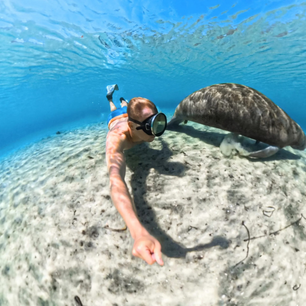 Insta360 X5 Invisible Dive Case - ảnh 6