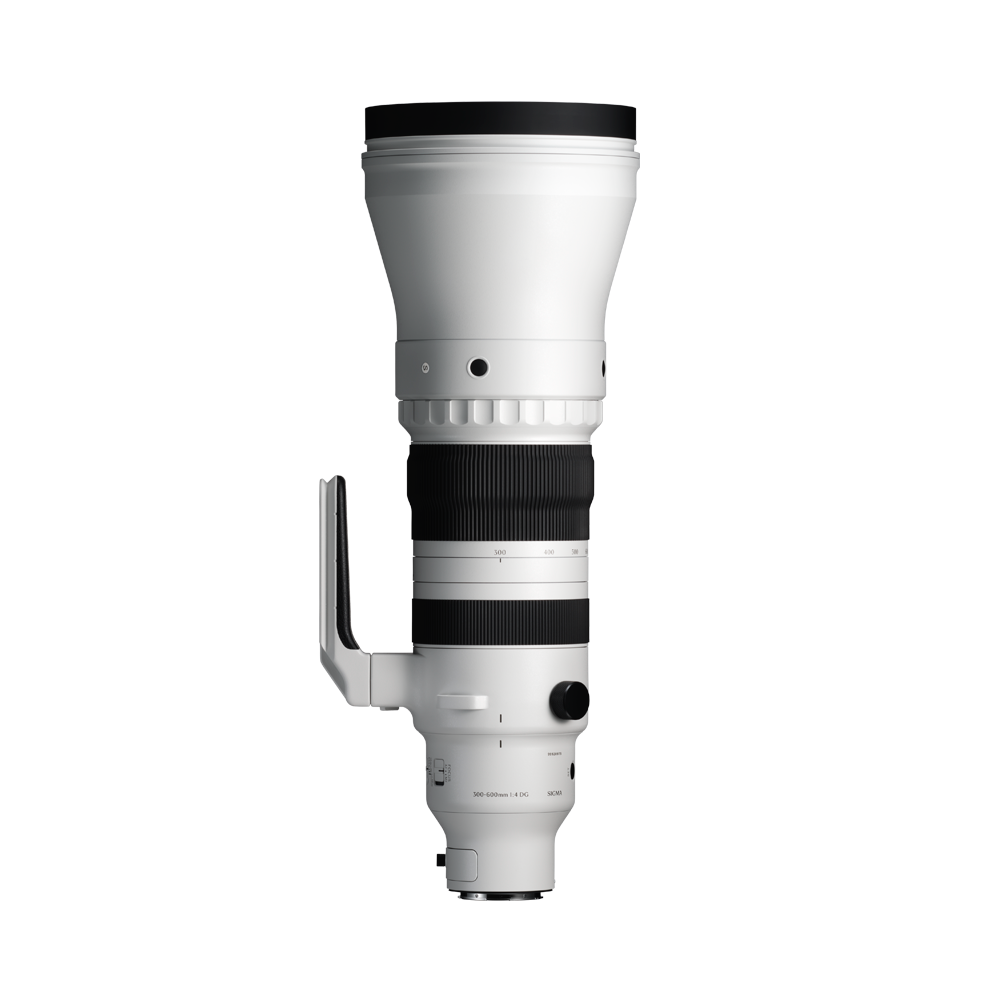 Ống kính Sigma 300-600mm F4 DG OS Sports for Sony E - ảnh 2